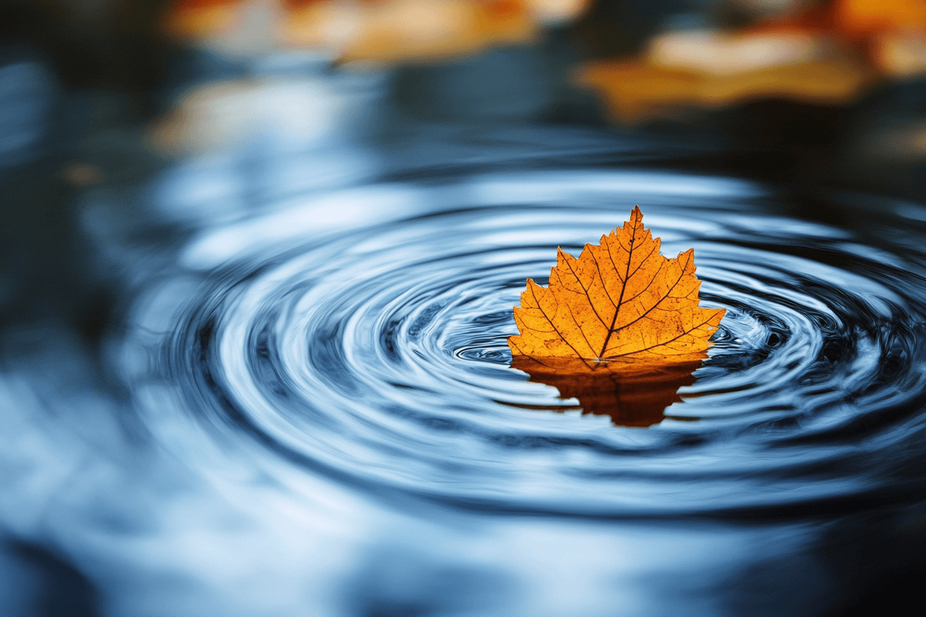 A lone leaf drifts on the water's surface, surrounded by soft ripples.