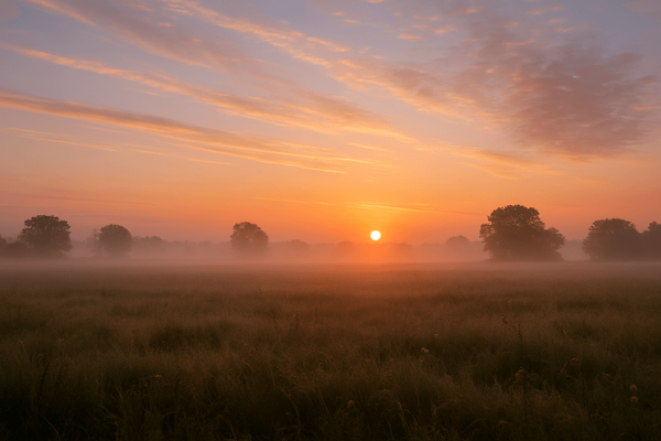 Powerful Quotes About Ego for Relationships and Self-Reflection